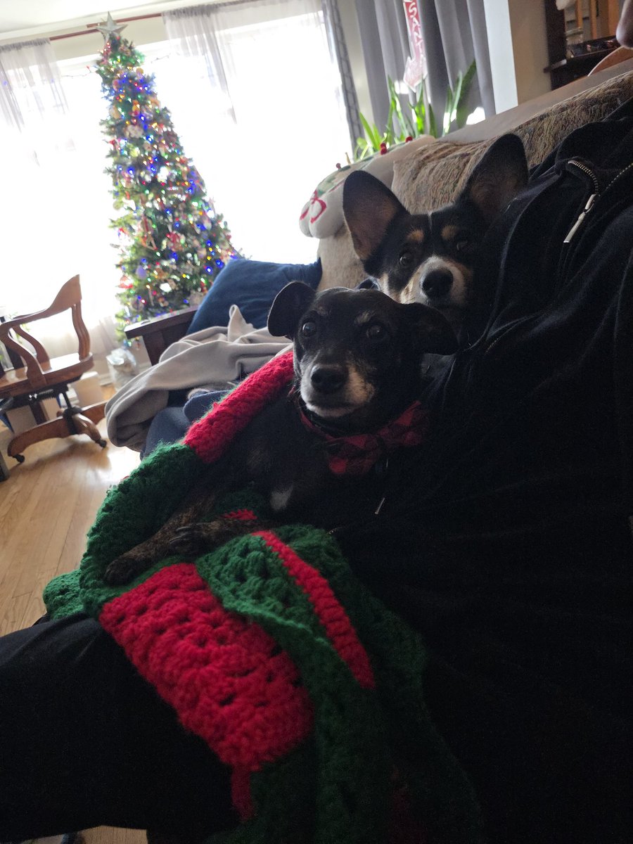 Current situation is cutesy