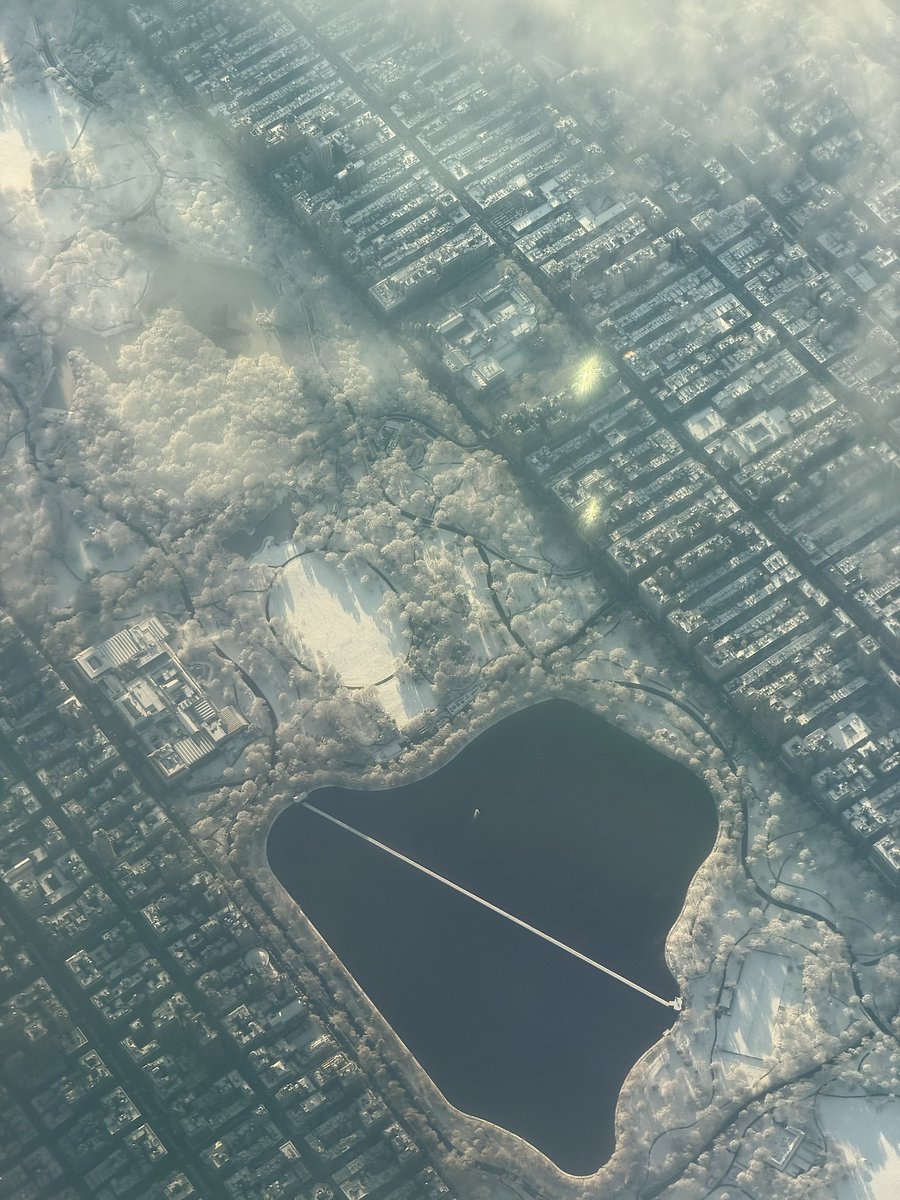 Austin Federa | 🇺🇸 tweet media