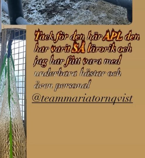 jblomander's tweet image. Att lägga ut den här storyn  idag och att den sedan delas vidare….

✨SÅ LÄRORIK✨

Vad ska man säga 😂