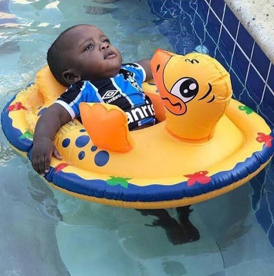 ReidoSul1's tweet image. Ta voltando para casa...