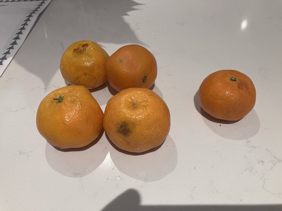 Robin Evans tweet media