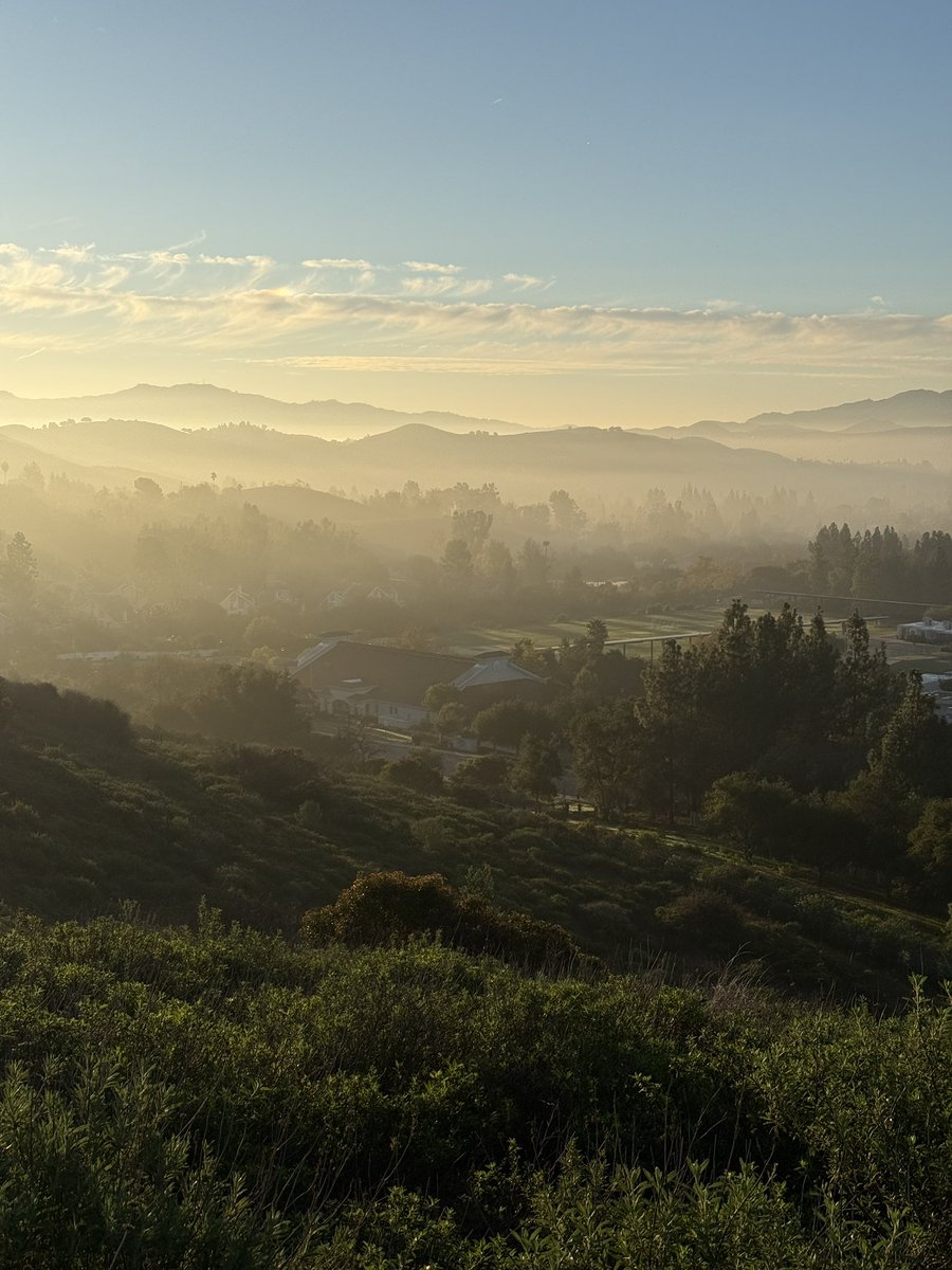 Beautiful morning for a little walk along the trail.