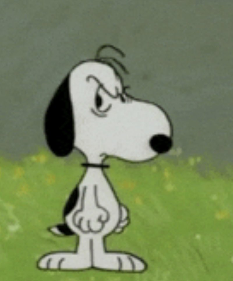 mp3marklee's tweet image. 