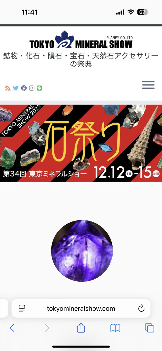 ToraNatural's tweet photo. 昨日、第34回　東京ミネラルショーに行ってきました😄
やっぱりかなりの賑わいでした！
商品展示用のアメジストドーム（小）などを購入しました！
今回も日本彩珠宝石研究所さんの特別展示はかなり興味深くとても参考になりました😊（中でも宝石の処理についてのコーナーはとても参考になりました） https://t.co/zfvDDjE9H4