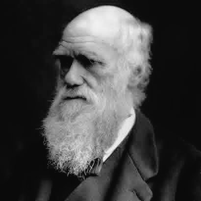 Mohabdalrb11255's tweet image. البقاء ليس للأقوى ولا للأذكى البقاء للأكثر استجابة للتغيير ".

➖ تشارلز داروين .