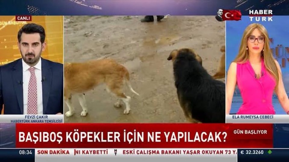 Köpeklere biçtikleri kadere kendileri mahküm oldular! Bin beter olsunlar mı? 
Darısı diğerlerinin başına olsun mu?
#ZulmeOrtakOlmayacağım