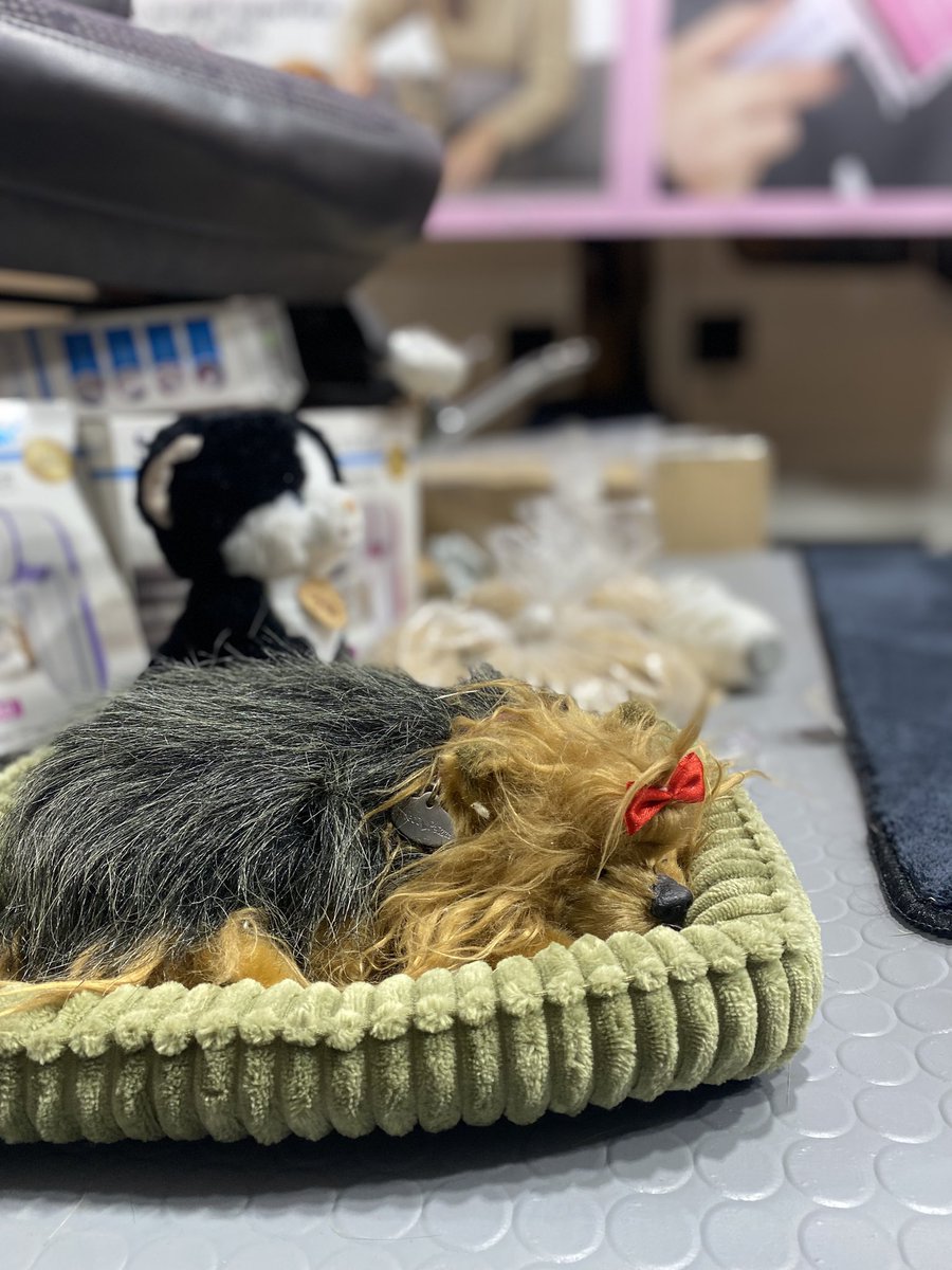 Sonia Zuccaro tweet media