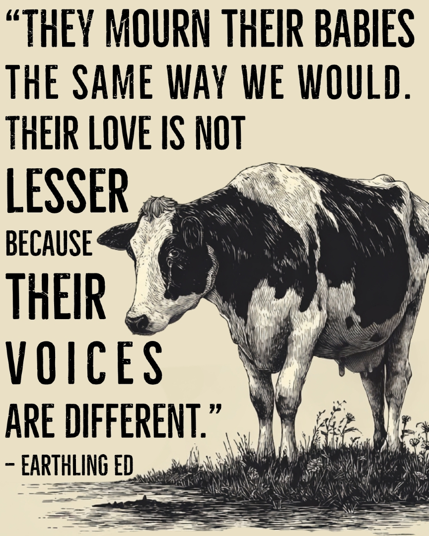 Same love. Same grief. 🐄💔

In the dairy industry, mothers endure repeated cycles of pregnancy and separation so their milk can be sold instead of nourishing their own babies. 😣

We don’t need to keep supporting this. Ditch dairy. 🌱✊

Quote from <a href="/earthlinged97/">Ed Winters</a> 

#dairy