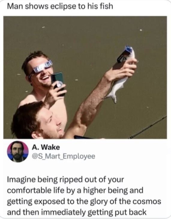 dinosaurs1969's tweet image. 