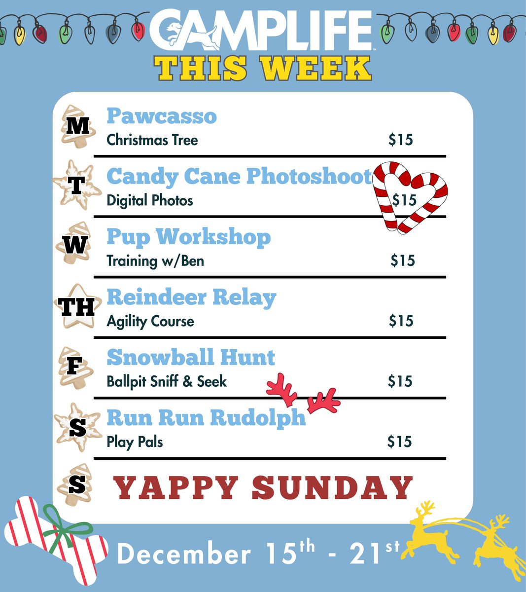 CBWHenderson's tweet image. Another week packed with festive FUN is here!
Your pup’s holiday adventure starts at Camp! ✨
Reserve their adventures today!

#adventure #camplife #funatcamp #campbowwow #henderson #dogdaycare #dogboarding #joyliveshere