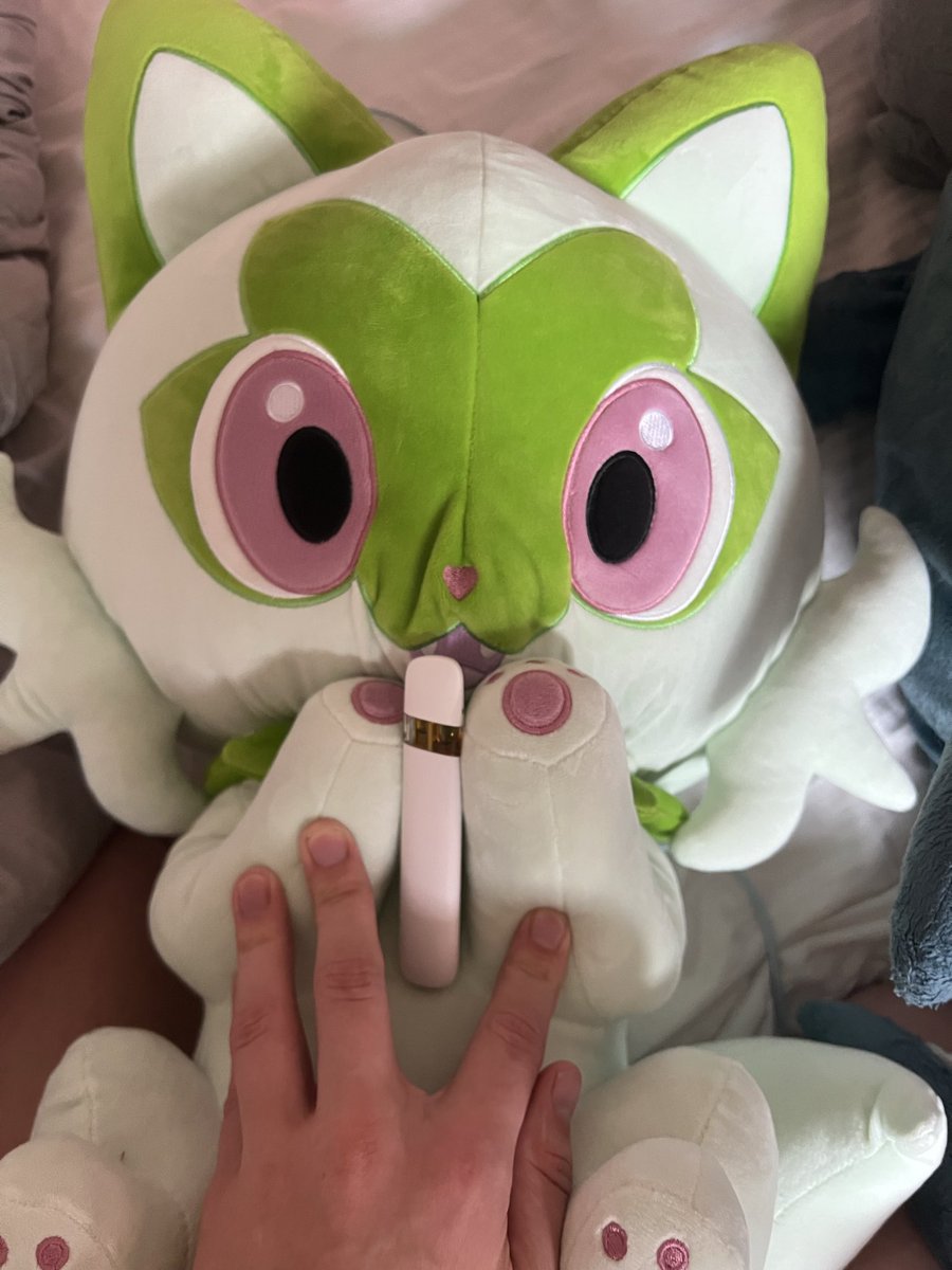 Just adopted this cat, he seems addicted to the pen, can someone tell me if this healthy for a sprigatito? Thanks