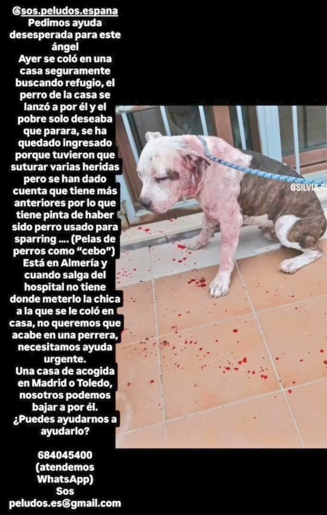 Erta tweet media