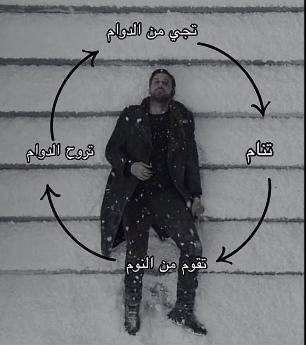 Arab Memes (@arabmemesss) on Twitter photo 