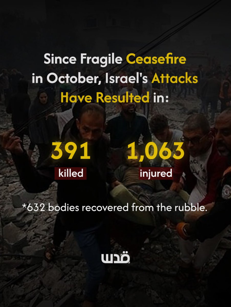 Since the announcement of a ceasefire in the Gaza Strip on October 11, 2025, Israel has breached it with nearly daily attacks, by air, artillery, and direct shootings, killing at least 391 Palestinians and injuring more than 1,063 others.