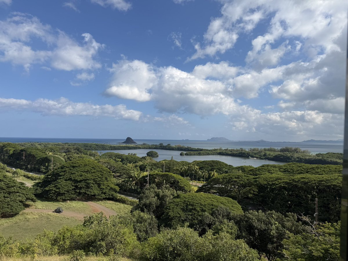 hashphish's tweet image. I guess working in Hawaii🌺 does have its perks sometimes.