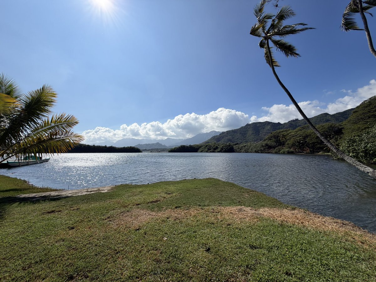 hashphish's tweet image. I guess working in Hawaii🌺 does have its perks sometimes.