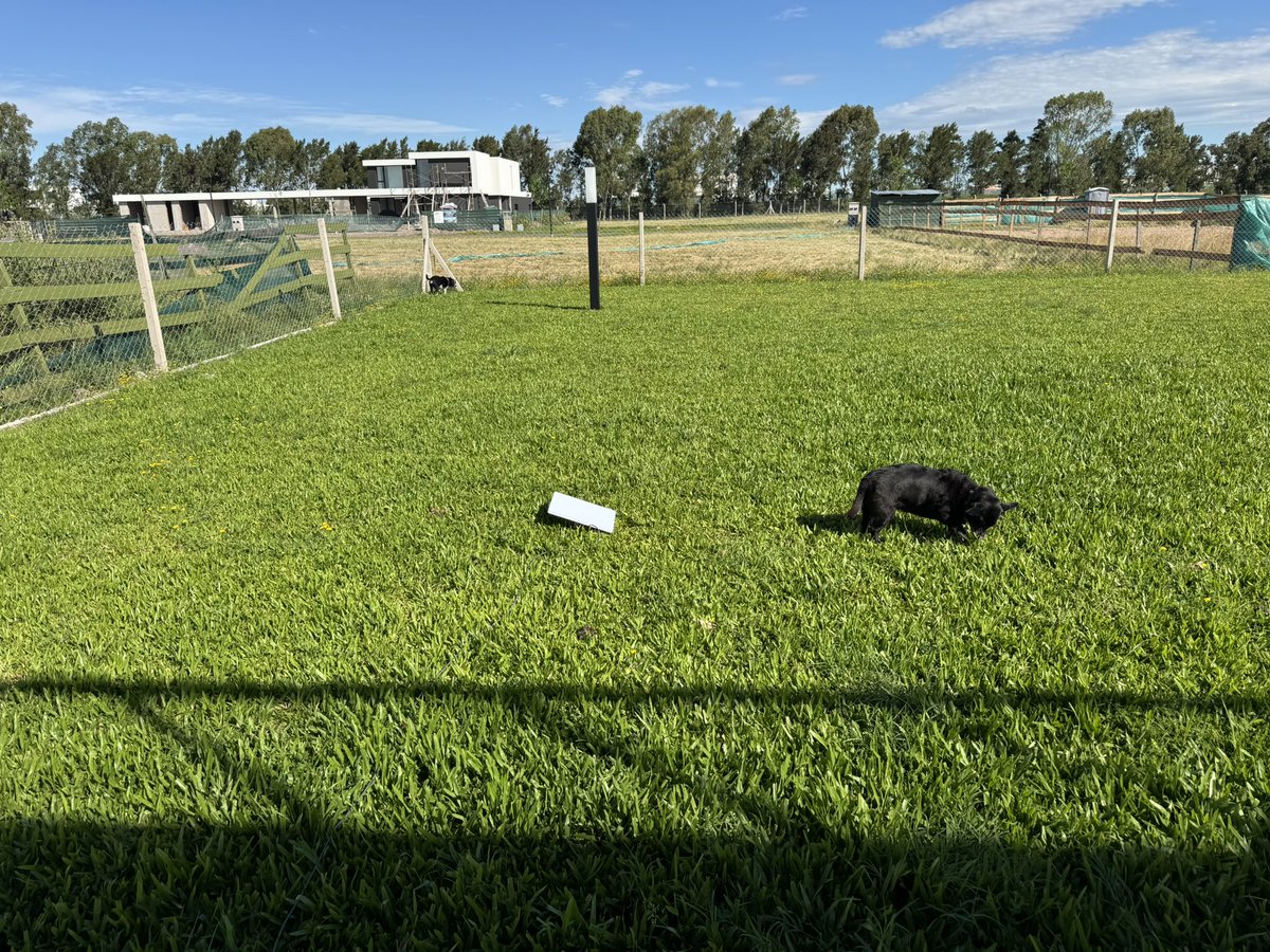 goncy.tsx tweet media