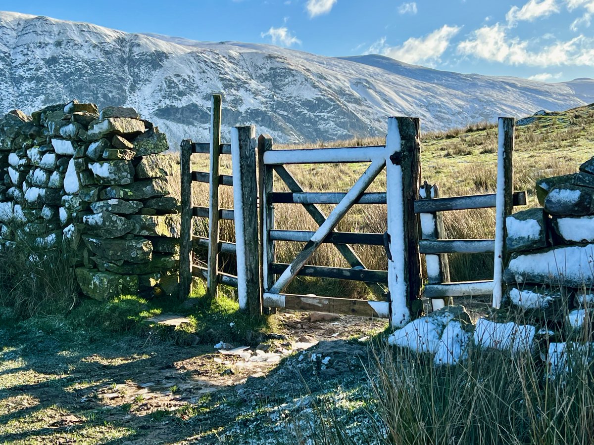 Sue Wilkinson tweet media