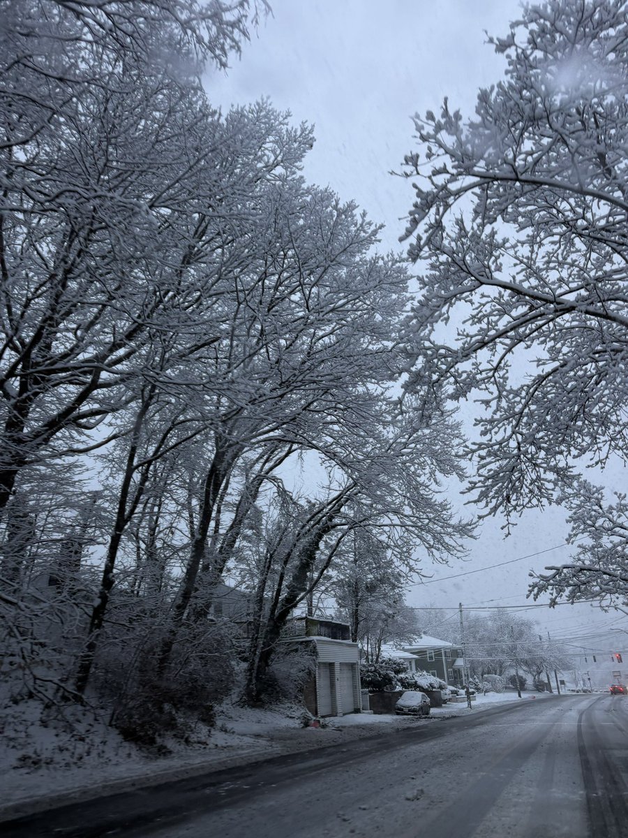 fullygia's tweet image. just winter wonderland outside my crib