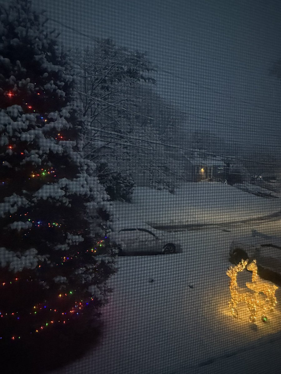 fullygia's tweet image. just winter wonderland outside my crib