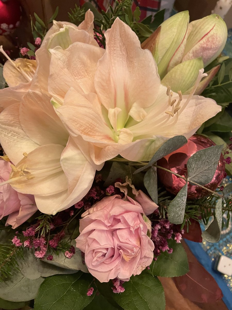 Guckt mal, was ich für tolle Blumen bekommen habe 😍😍