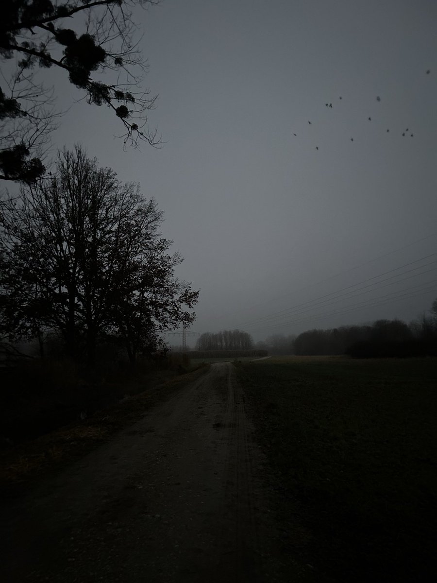 Sorry bin auf Sidequest deswegen kommt so wenig