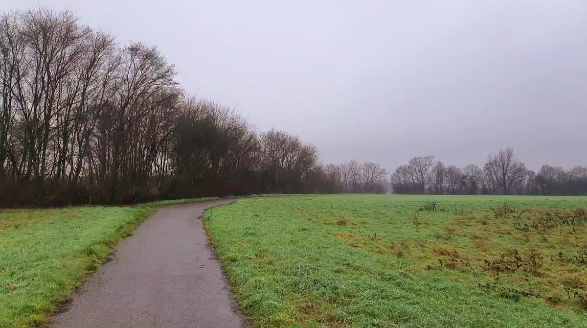 JurgenSpiess's tweet image. #unterwegs
Das "Sonneneck" hat sich heute vom Namen her nicht mit Rum bekleckert. Dann nichts wie raus auf den Fußweg und über die "Hunderunde" nach Hause.

Zuvor aber noch schnell an der Überführung der B47 über die #Riedbahn eine Komplettierung meiner "erlaufenen" Graffitis 🖖