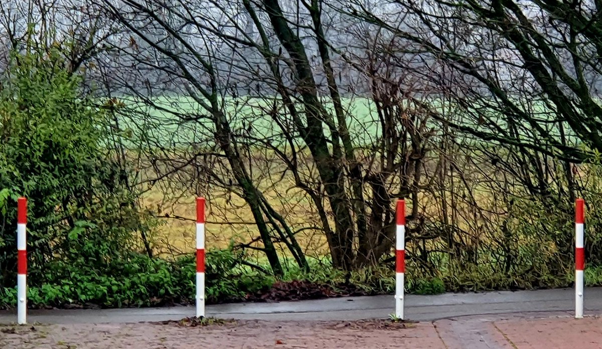 JurgenSpiess's tweet image. #unterwegs
Das "Sonneneck" hat sich heute vom Namen her nicht mit Rum bekleckert. Dann nichts wie raus auf den Fußweg und über die "Hunderunde" nach Hause.

Zuvor aber noch schnell an der Überführung der B47 über die #Riedbahn eine Komplettierung meiner "erlaufenen" Graffitis 🖖