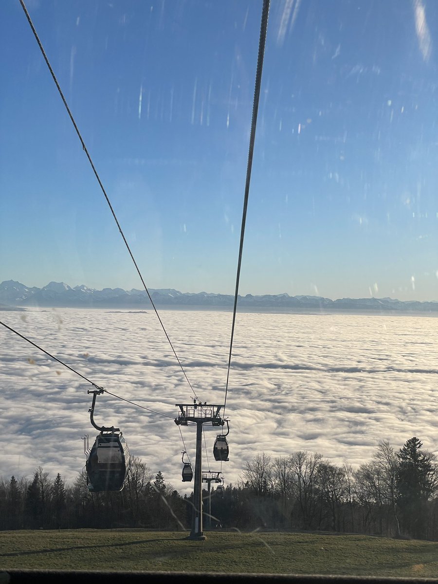 素敵な景色ですね！