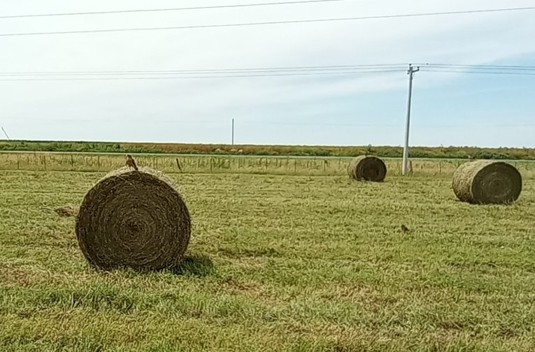 Buen domingo para todos!!! Se Retuercen los Feos jajaja......... Vamos que Vamos 💪💪
