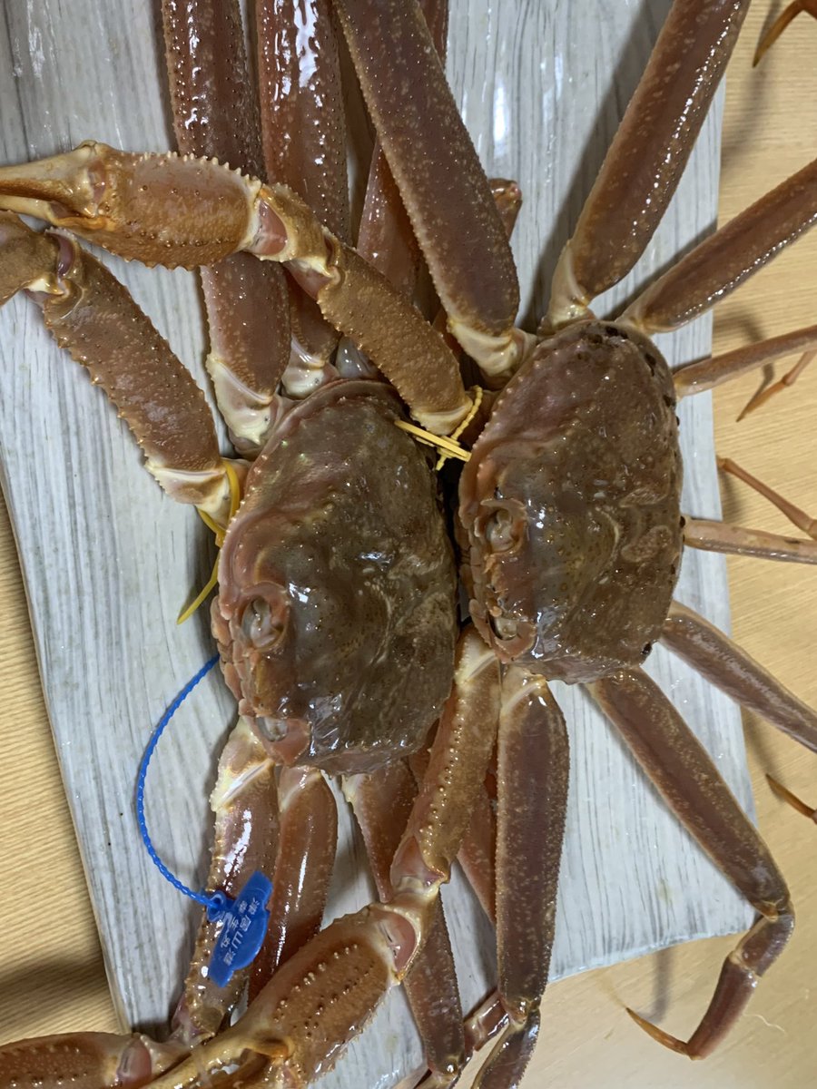 hiroSugi_PR02's tweet photo. クジラ
フグ
カニ https://t.co/yZpBu3Vr59