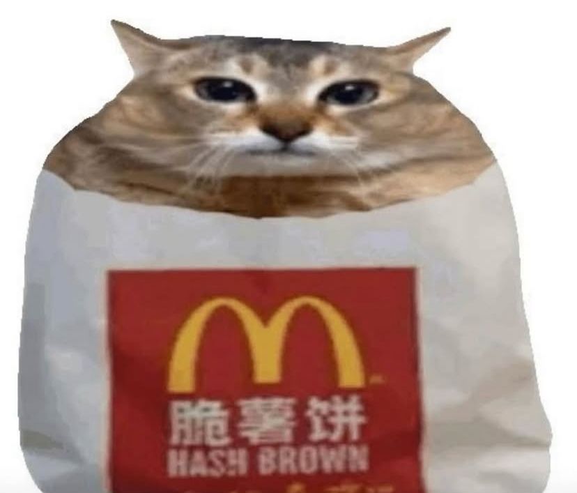 Red 🐈 tweet media