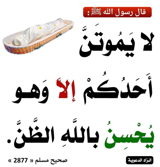 الكتابُ والسُّنة (@kitabwasunna93) on Twitter photo 