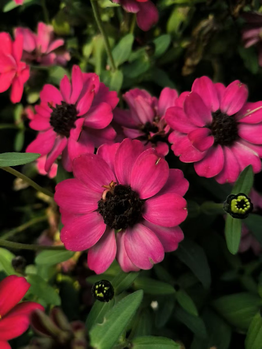 wdr2oversea (@wdr2oversea) on Twitter photo 