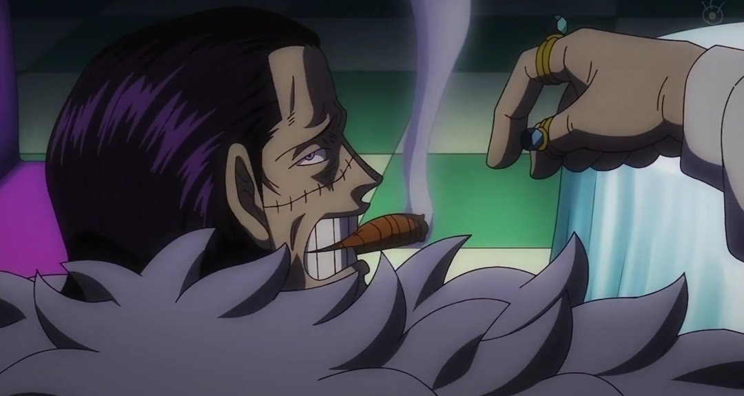 Daily Crocodile 🐊 (@dailysircroc) on Twitter photo 