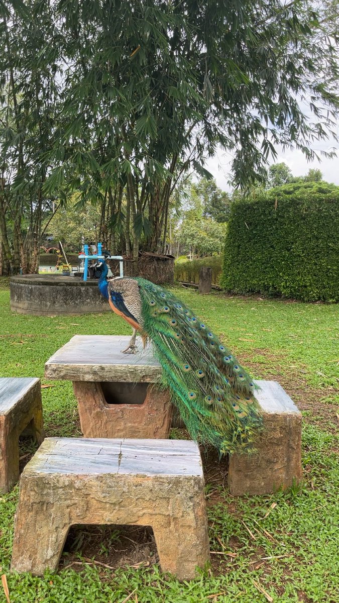 Is this a sign of good luck? 🍀