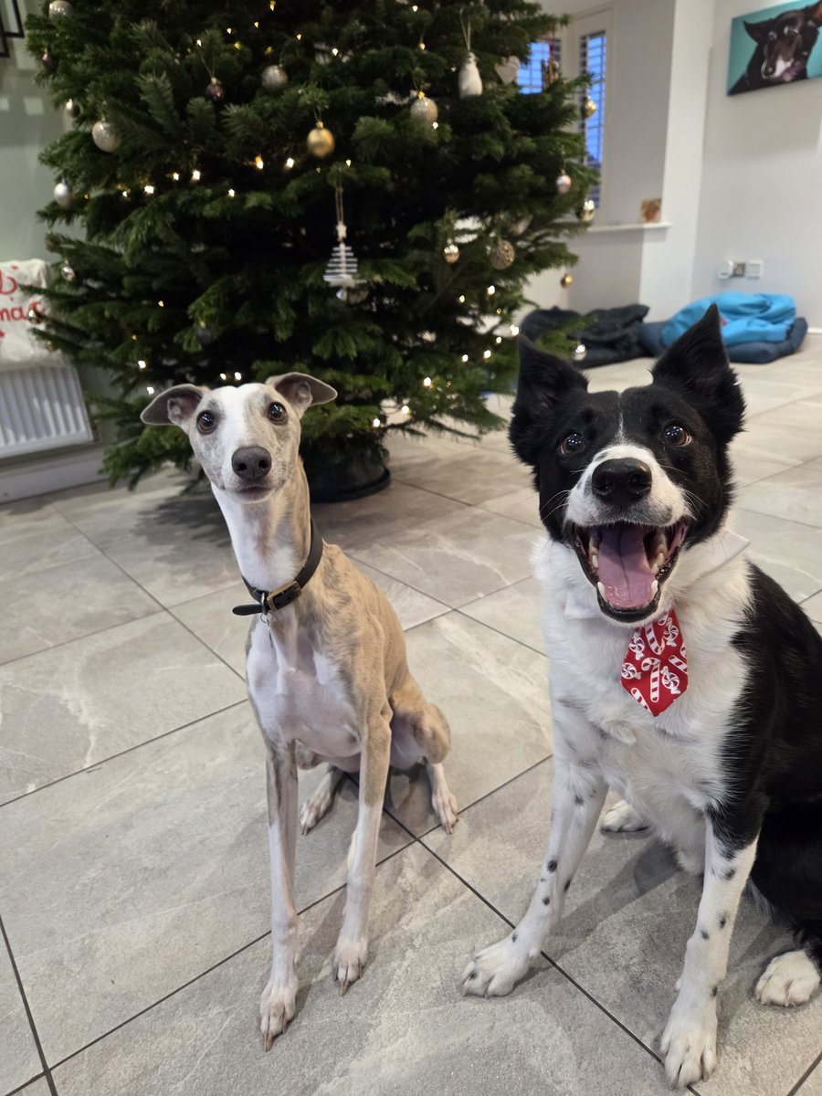 Lucy Allen tweet media