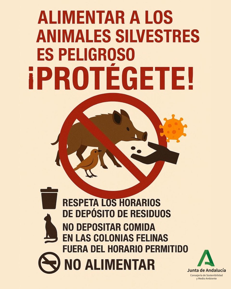 🚨Alimentar a los animales silvestres es peligroso. Tenlo en cuenta. ¡Protégete!

Sigue estas recomendaciones ⤵️