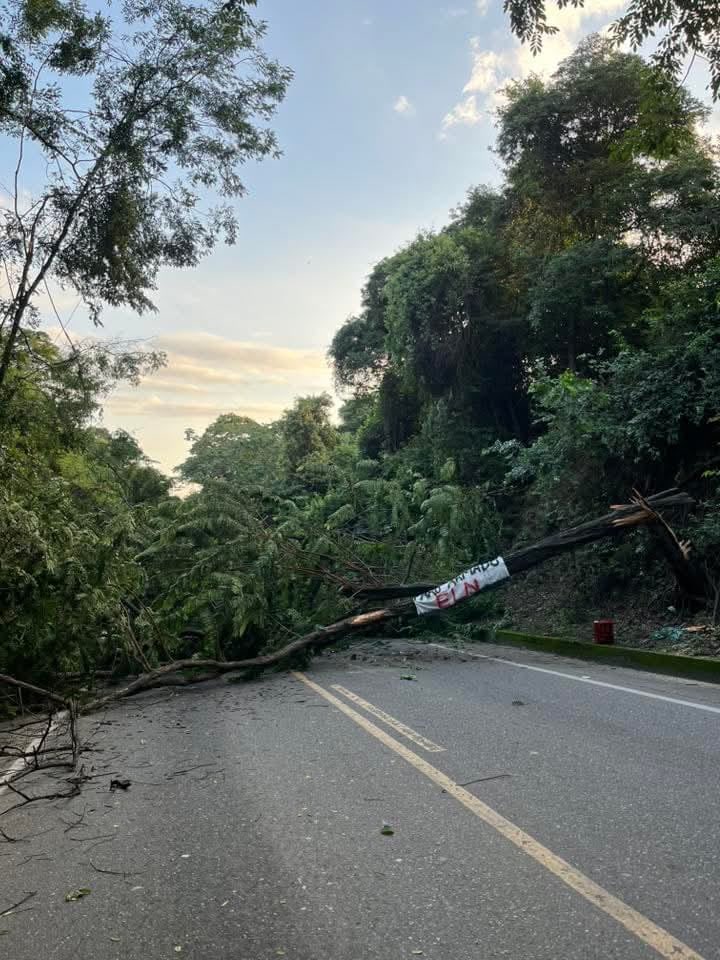Heberlizeth's tweet photo. #14Dic Con árboles obstaculizando el paso y cilindros con posibles explosivos, amanecieron algunas vías de Cúcuta, Colombia. La acción se la atribuye el ELN como parte del paro armado nacional que decretaron desde las 6 am de este domingo. https://t.co/O3wDl0u1sy