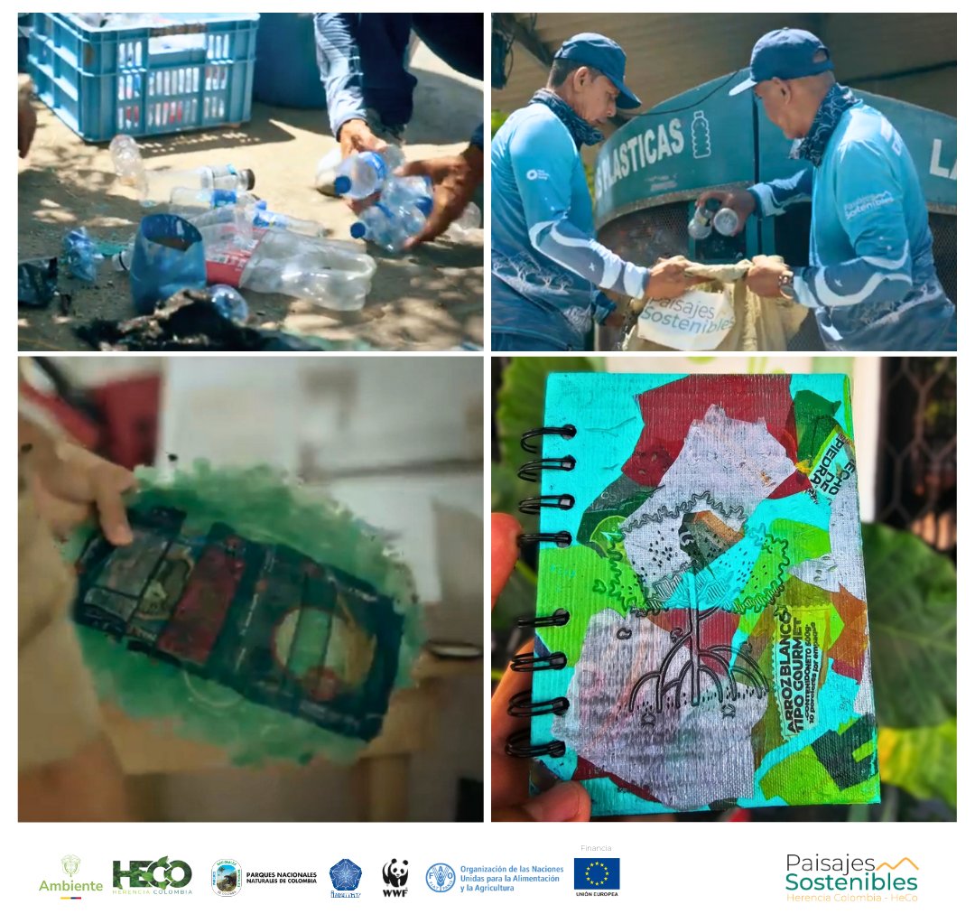 FAO Colombia tweet media