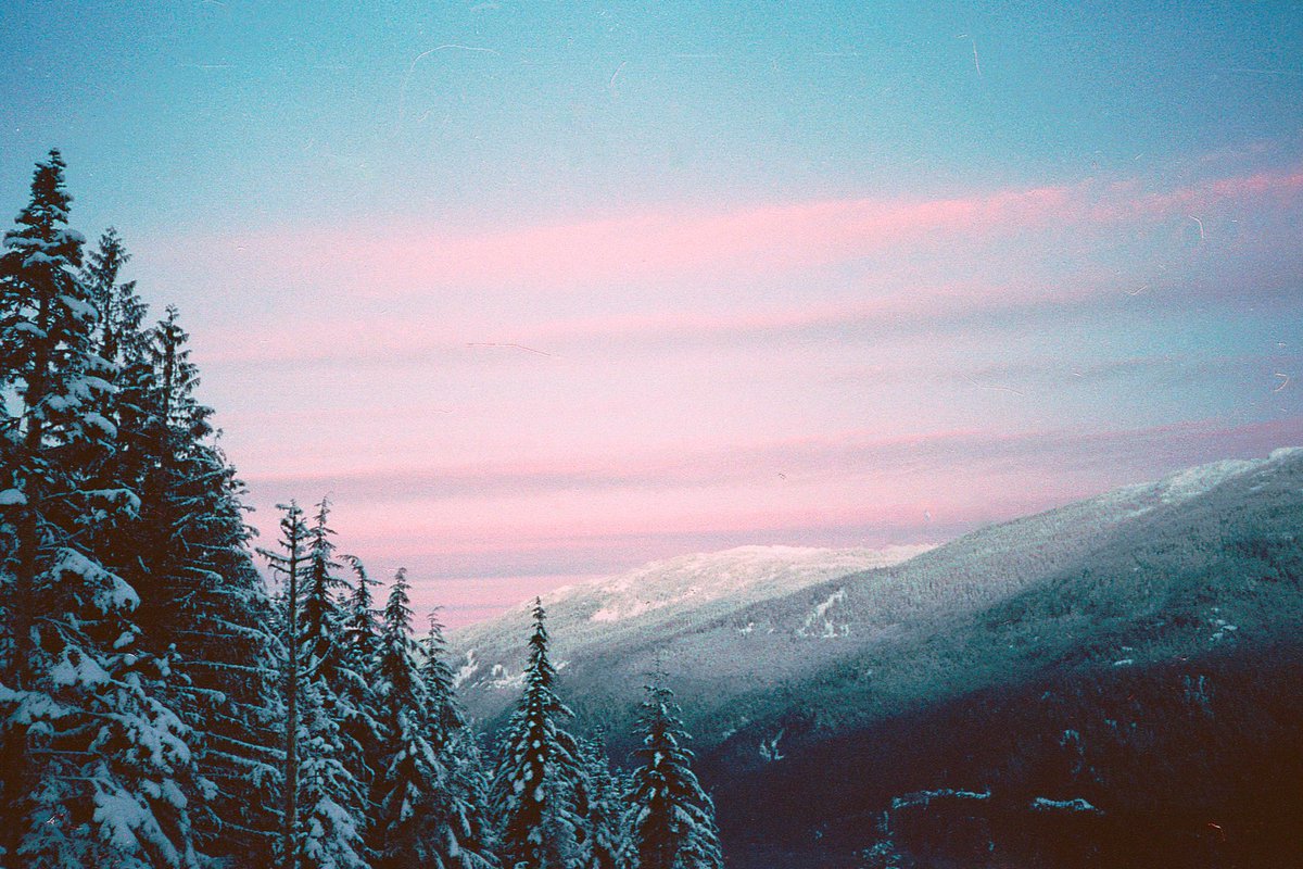 snow days on 35mm 🎞️