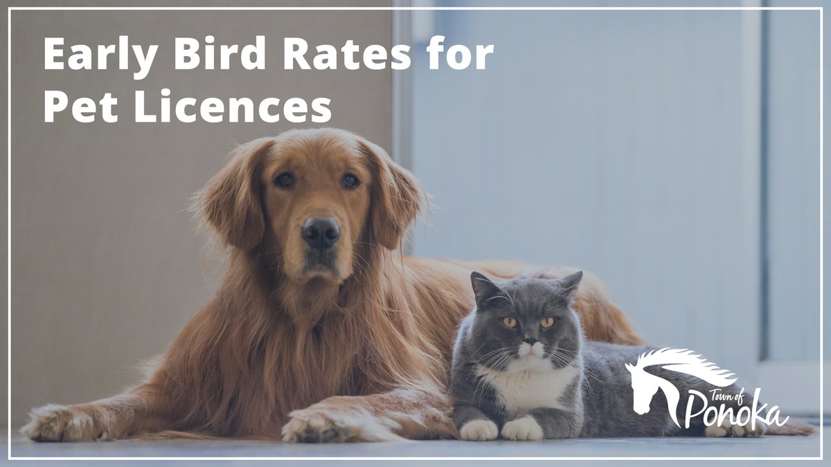 Get the early bird rate by renewing your pet licences before December 31, 2025 for the 2026 year. 🐶😺

Learn more by visiting ponoka.ca/p/dog-cat-lice… #Ponoka #TownOfPonoka