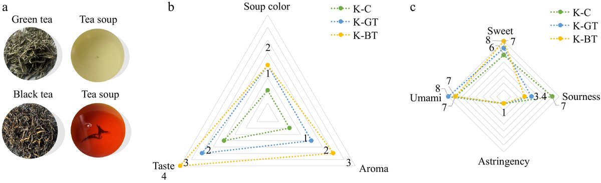 HortiPlant's tweet image. #BPR
Green vs black tea kombucha have distinct microbes &amp;amp; flavors. Black tea yields more bioactive compounds, valuable for industry &amp;amp; ecology. 
@MaximumAcademic @NewPhyt #Kombucha #Fermentation
Details: maxapress.com/article/doi/10…