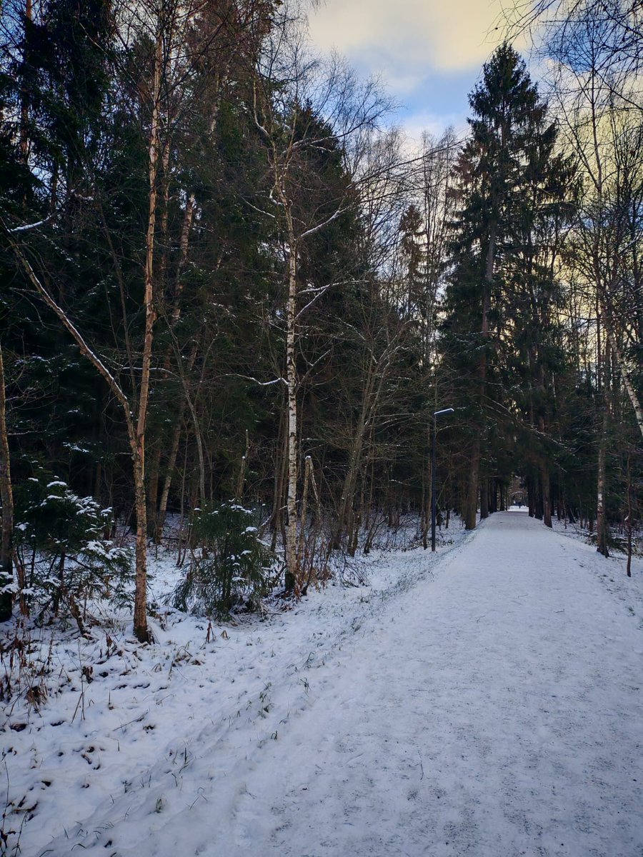 #winter