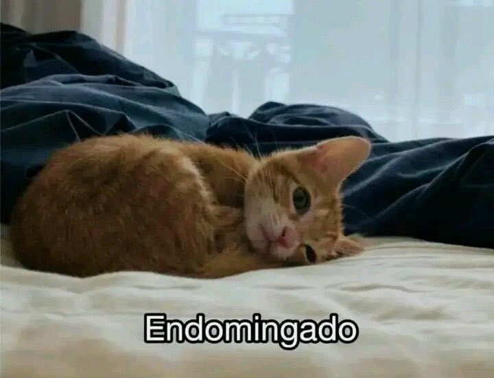 Cultura Literal (@culturaliteral1) on Twitter photo 