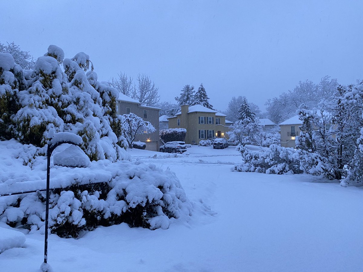 Ximena Jordan Bruno tweet media