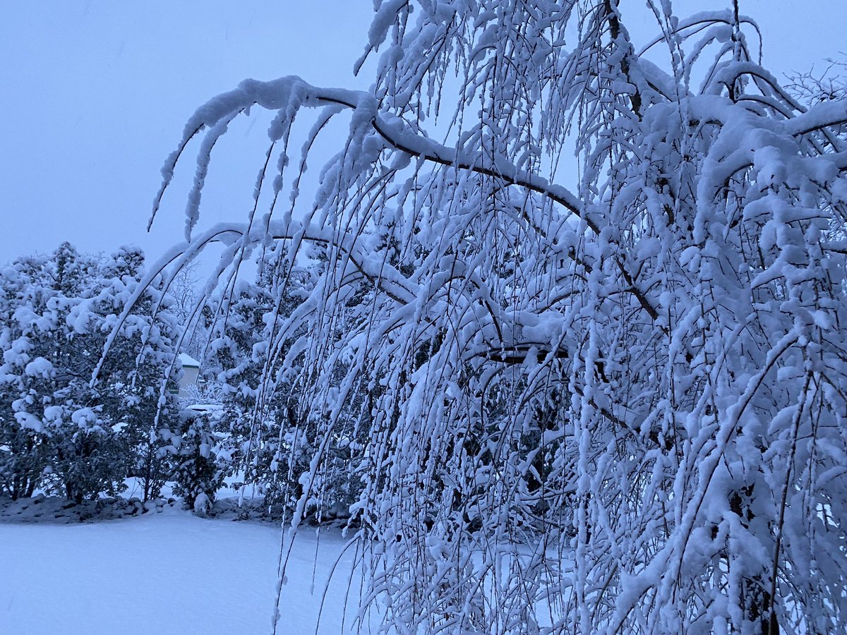 Ximena Jordan Bruno tweet media