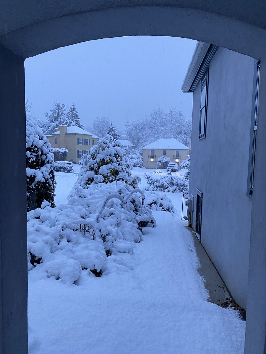 Ximena Jordan Bruno tweet media