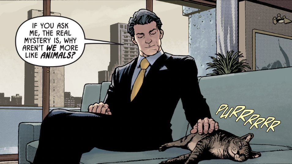 sapphirebats's tweet image. bruce wayne with kitty :)