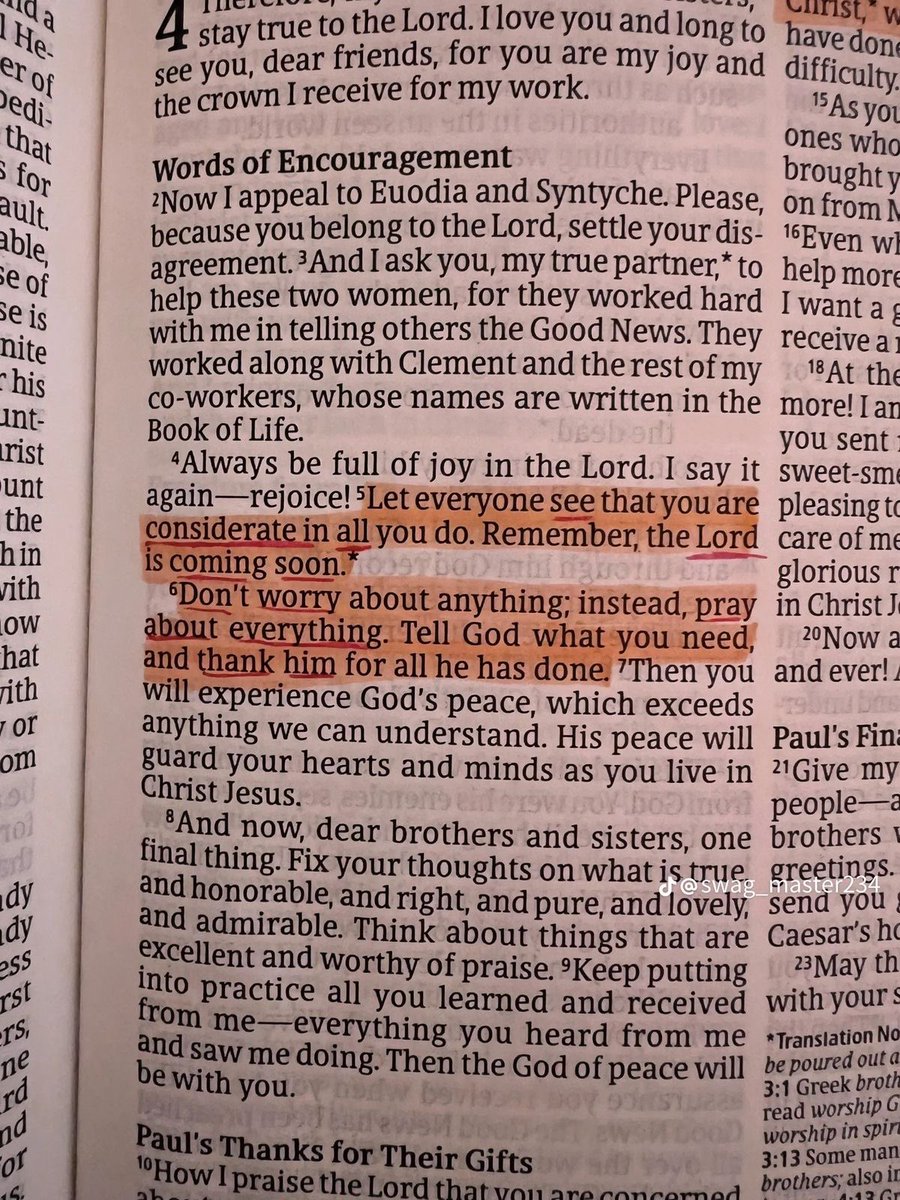 Holy Bible tweet media